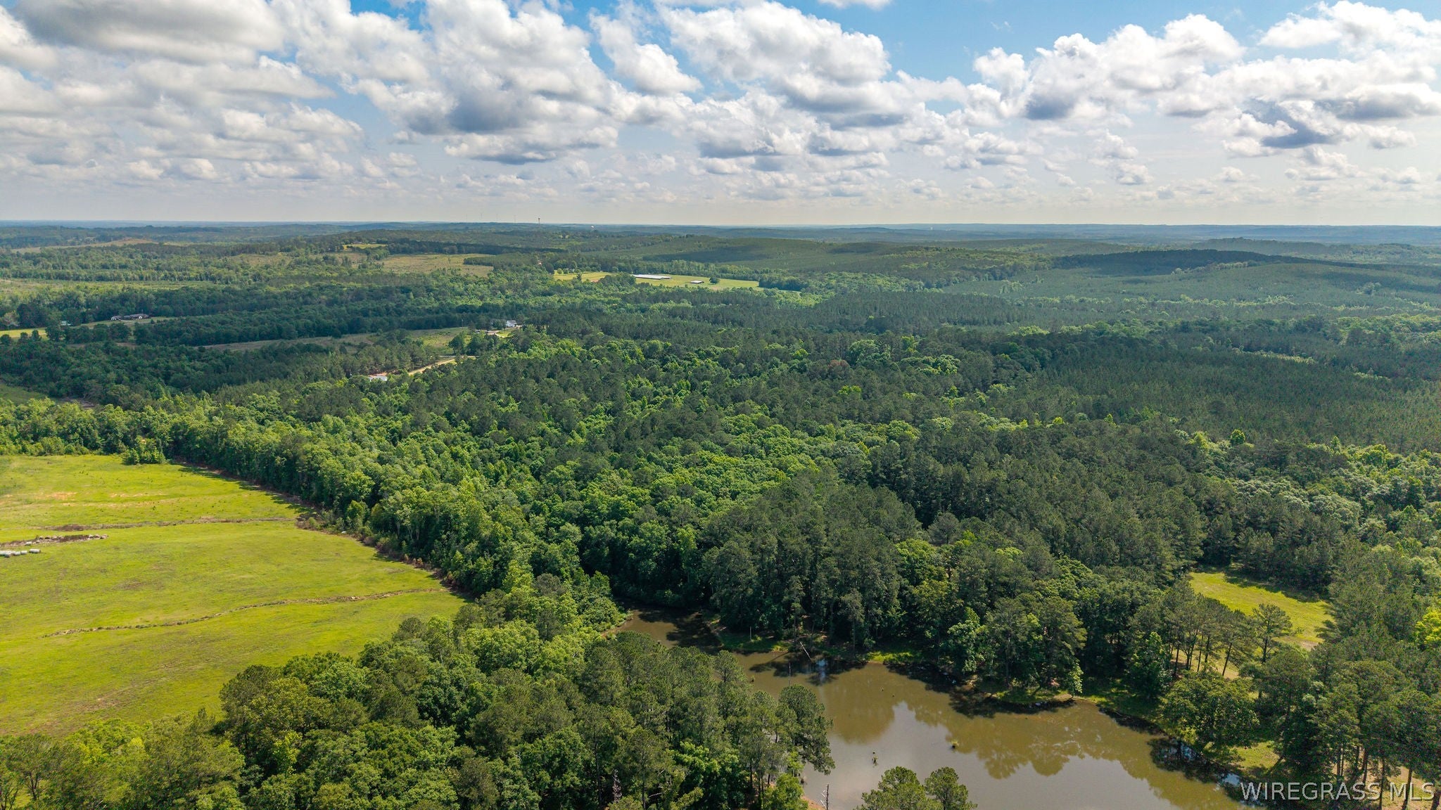 0 County Road 245 Road Elba, AL 36323 - Photo 12 of 27 Gallery Image 12