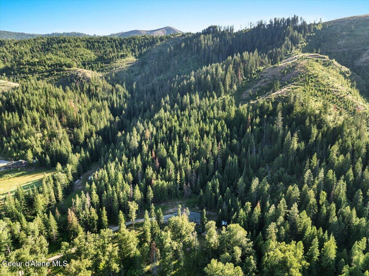 17727 South Bull Run Road Cataldo, ID 83810 - Photo 67 of 72 70-17727 S Bull Run Rd_RedHogMedia