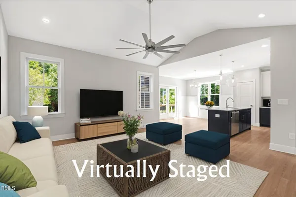 a living room with furniture potted plant and a flat screen tv