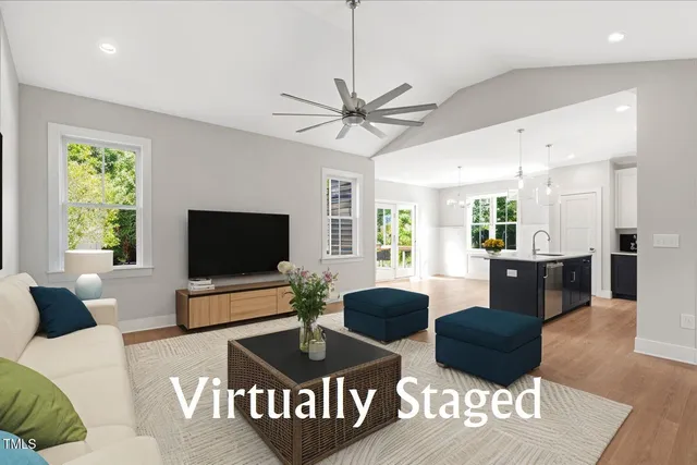 a living room with furniture potted plant and a flat screen tv