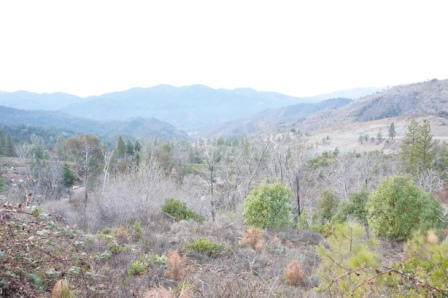 221 Rocker Road Weaverville, CA 96093 - Photo 1 of 9