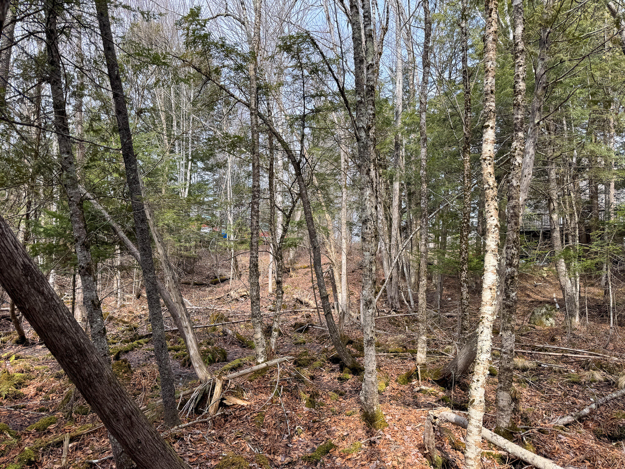 M11-l10 Gordon Hill Road Thorndike, ME 04986 - Photo 8 of 17