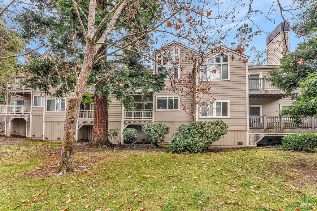 135 Koch Road Corte Madera, CA 94925 - Photo 2 of 57