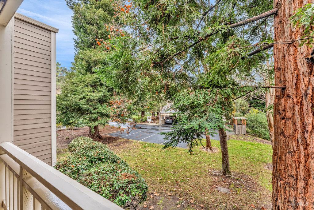 135 Koch Road Corte Madera, CA 94925 - Photo 29 of 57