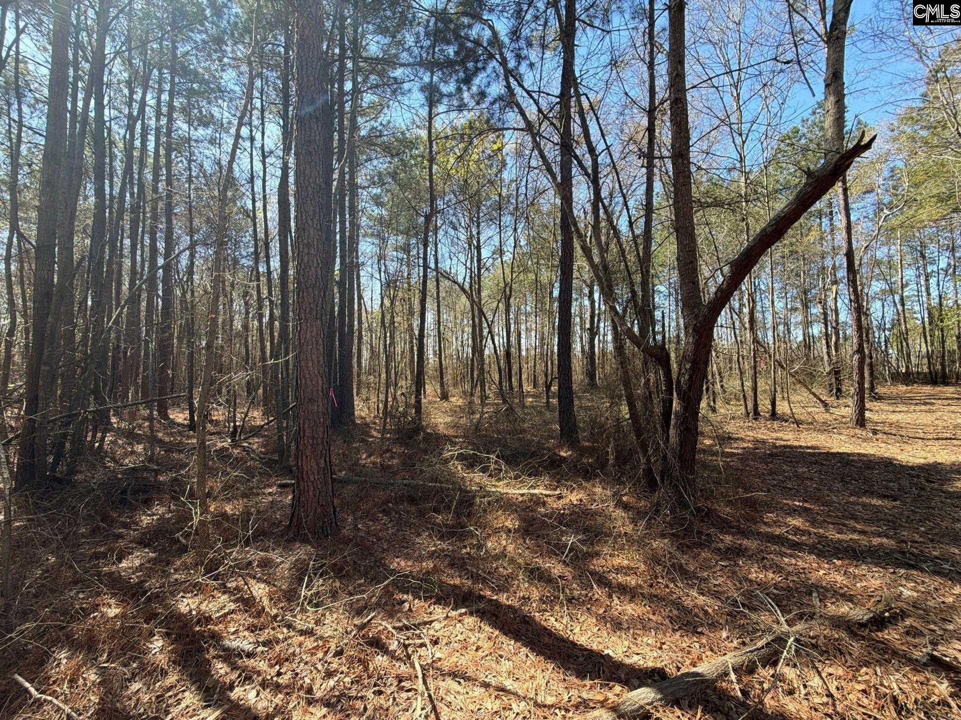 11 Boise Cascade Road, Unit BHL 11 Bethune, SC 29009 - Photo 6 of 24