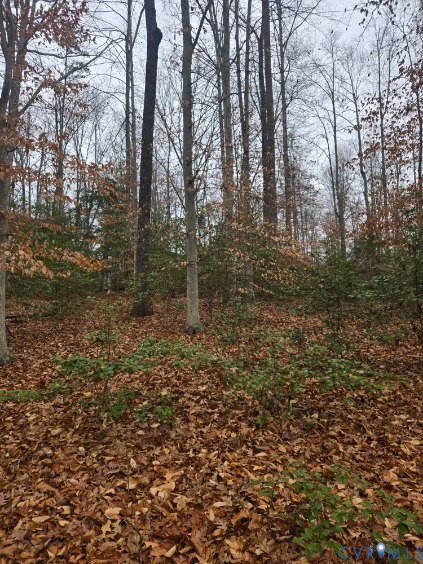 0 Tabscott Road Kents Store, VA 23084 - Photo 3 of 16 Wooded parcel featuring mature deciduous trees and