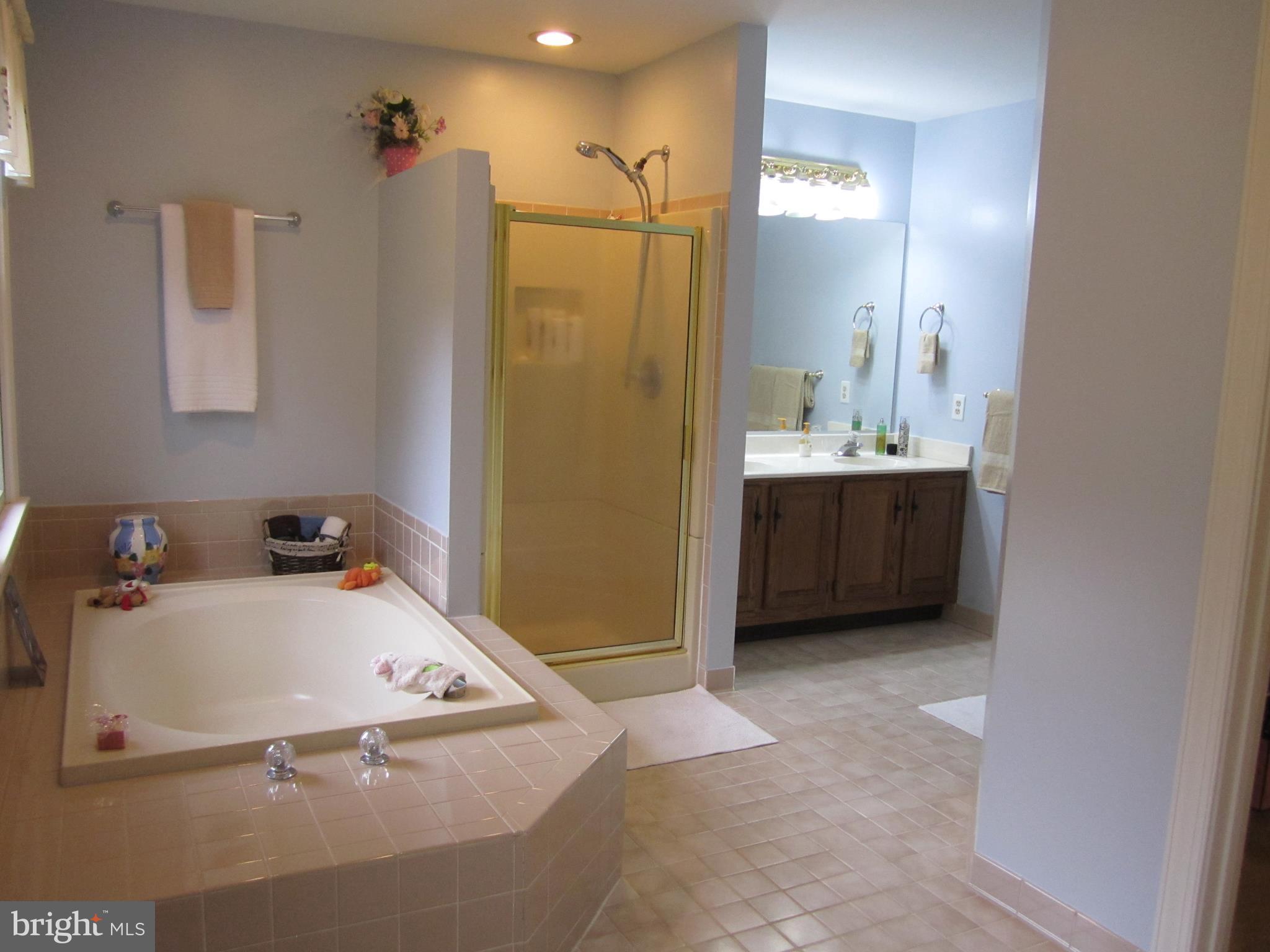 3542 Green Spring Road Havre de Grace, MD 21078 - Photo 14 of 27 Bath (Master)