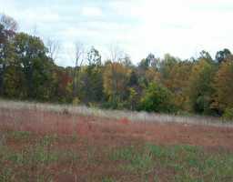 Newbridge Road Louisville, KY 40291 - Photo 1 of 1 Primary Photo