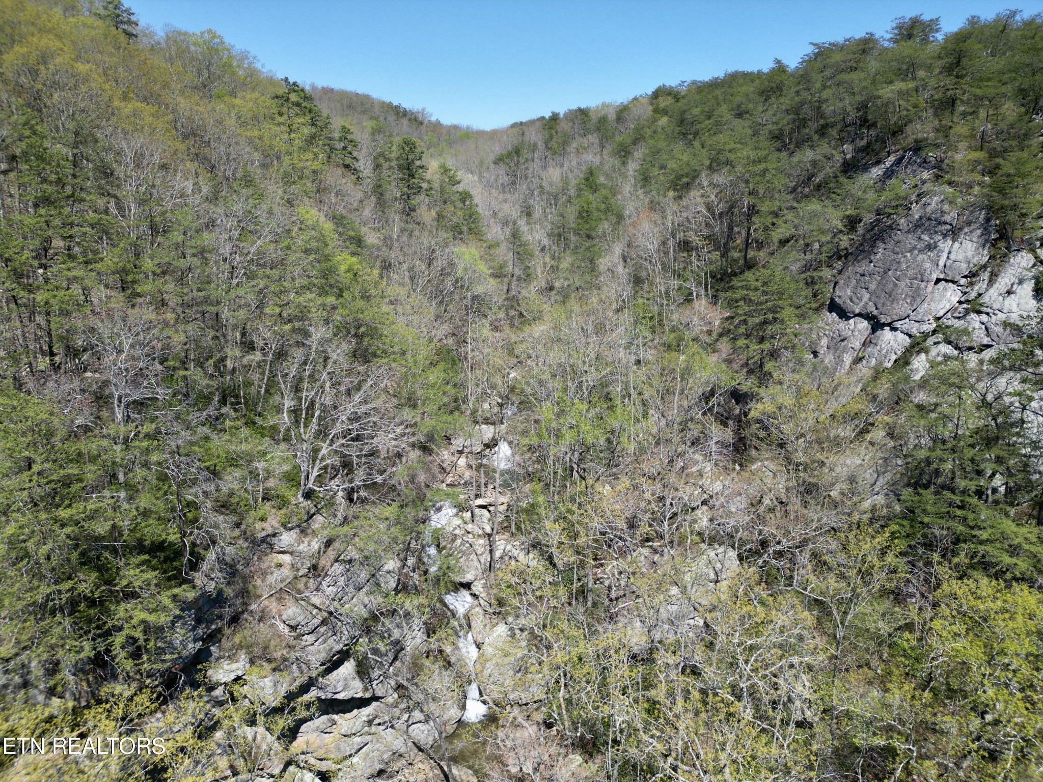 0 Old Spencer Road Pikeville, TN 37367 - Photo 8 of 17