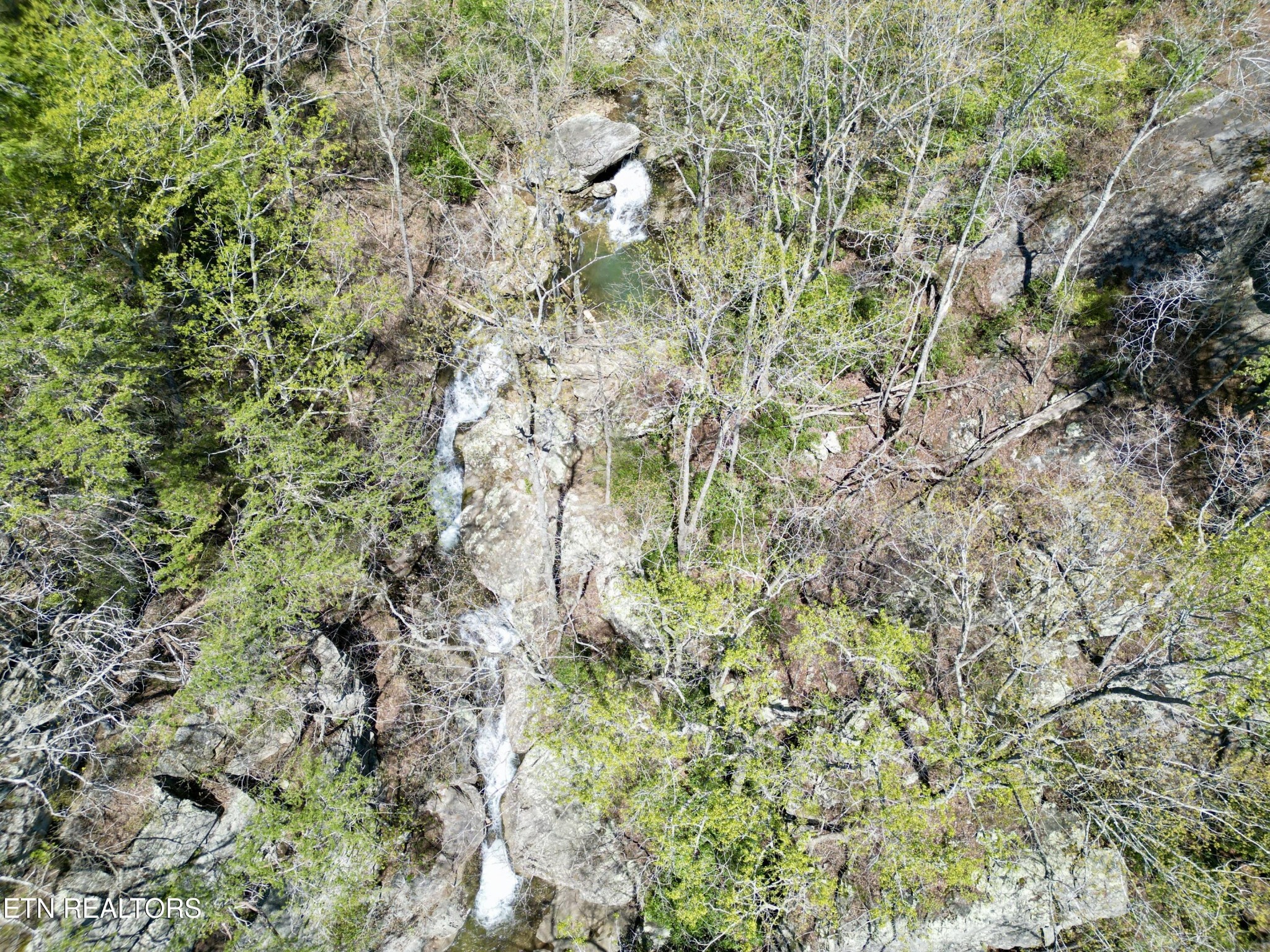 0 Old Spencer Road Pikeville, TN 37367 - Photo 9 of 17