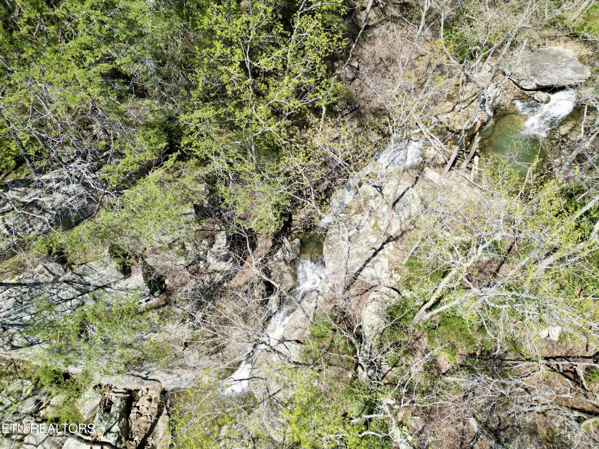 0 Old Spencer Road Pikeville, TN 37367 - Photo 10 of 17