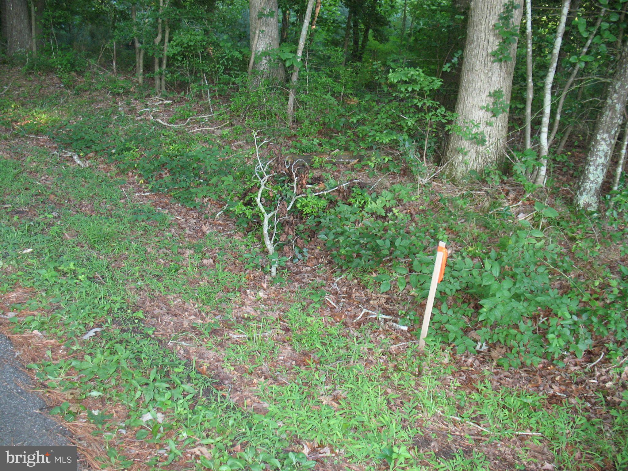 0 Harmon Landing Road Snow Hill, MD 21863 - Photo 1 of 10 Beginning lot marker Harmon Landing Rd