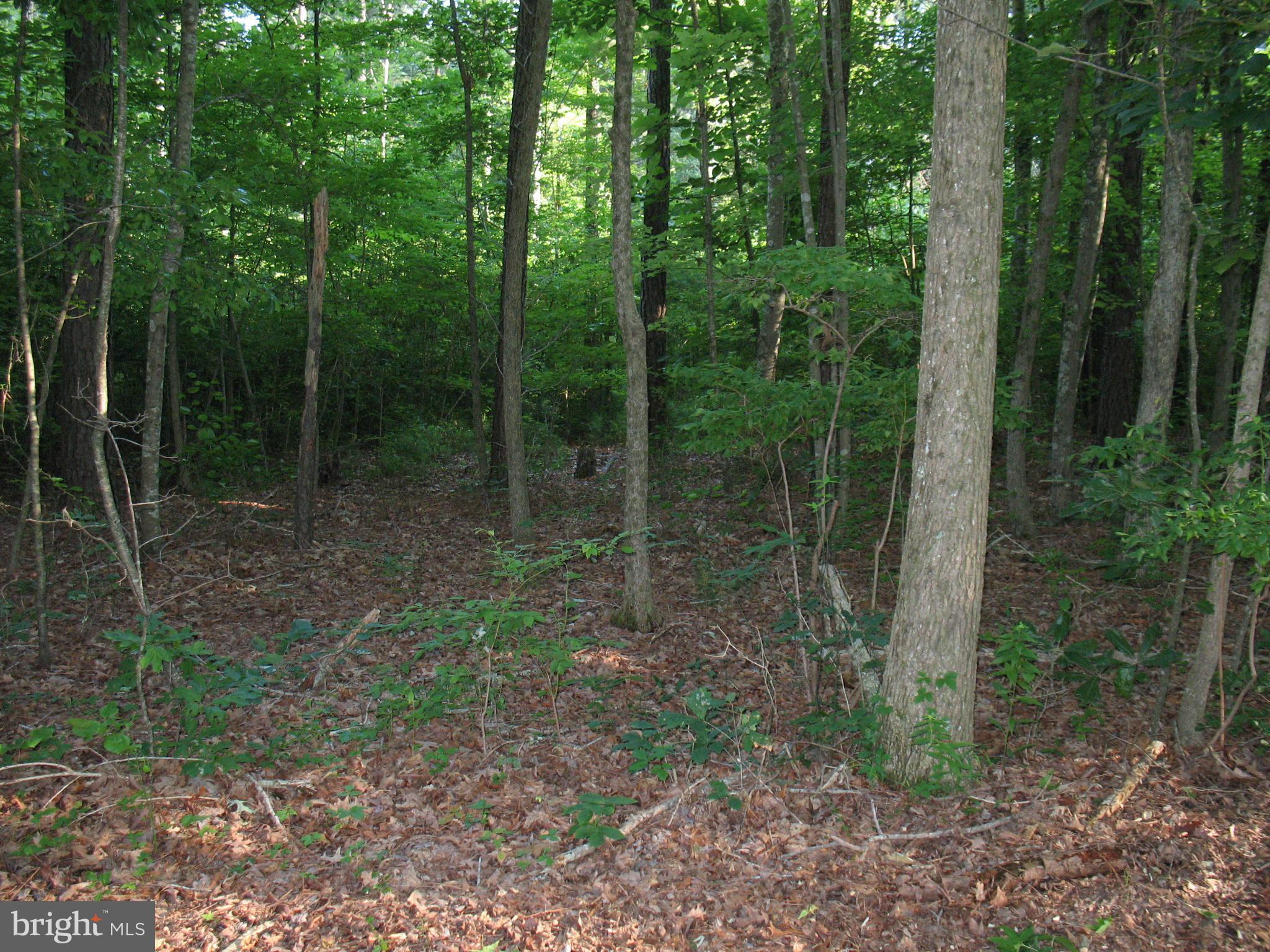 0 Harmon Landing Road Snow Hill, MD 21863 - Photo 4 of 10 Harmon Landing Rd lot