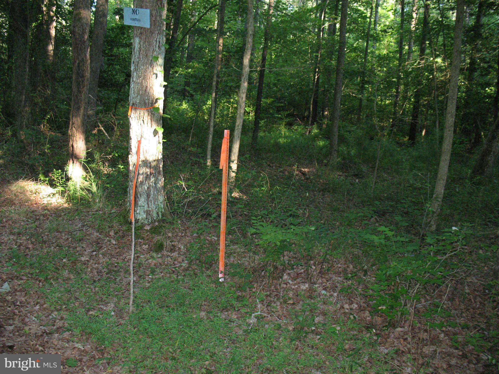 0 Harmon Landing Road Snow Hill, MD 21863 - Photo 6 of 10 Ending lot markers Harmon Landing Rd