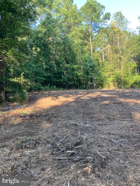0 Harmon Landing Road Snow Hill, MD 21863 - Photo 8 of 10 Lot has been partially cleared.