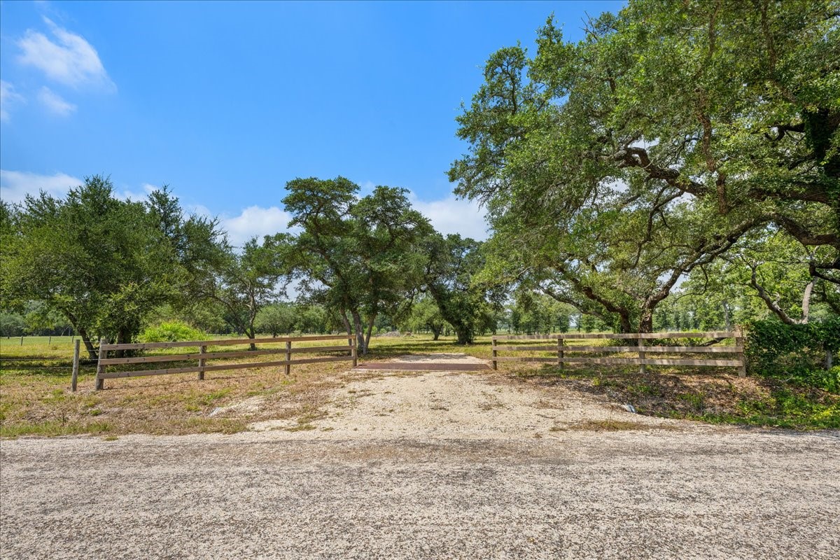 6900 Waldeck Cemetery Road Round Top, TX 78954 - Photo 4 of 24