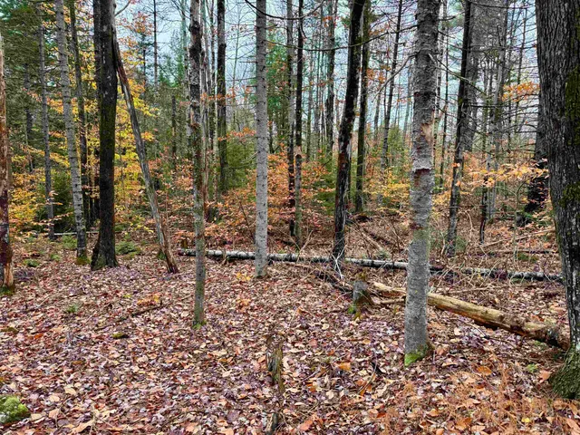 $75,000 | 0 Washington Drive, Washington, NH 03280