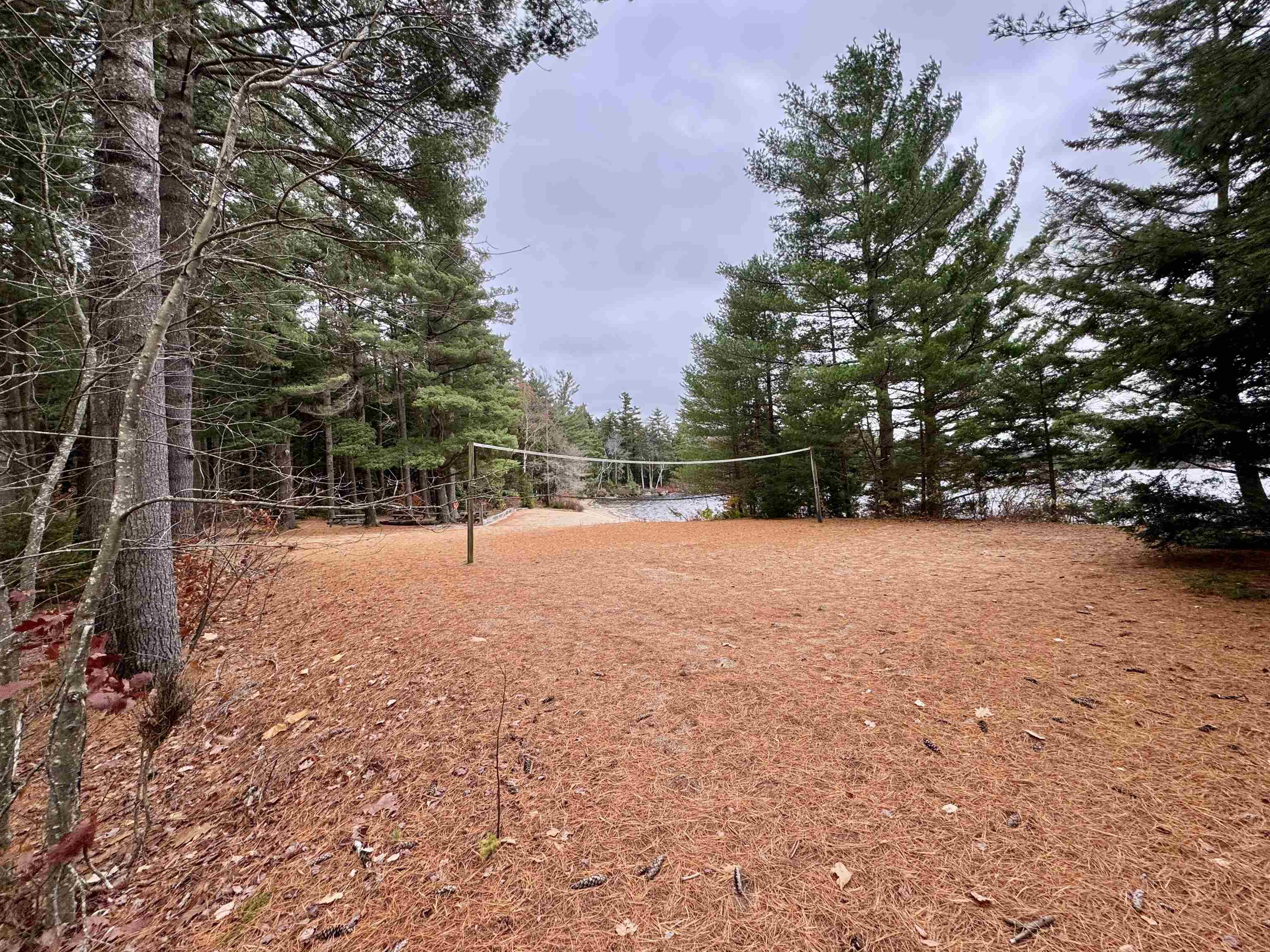 0 Washington Drive Washington, NH 03280 - Photo 5 of 12