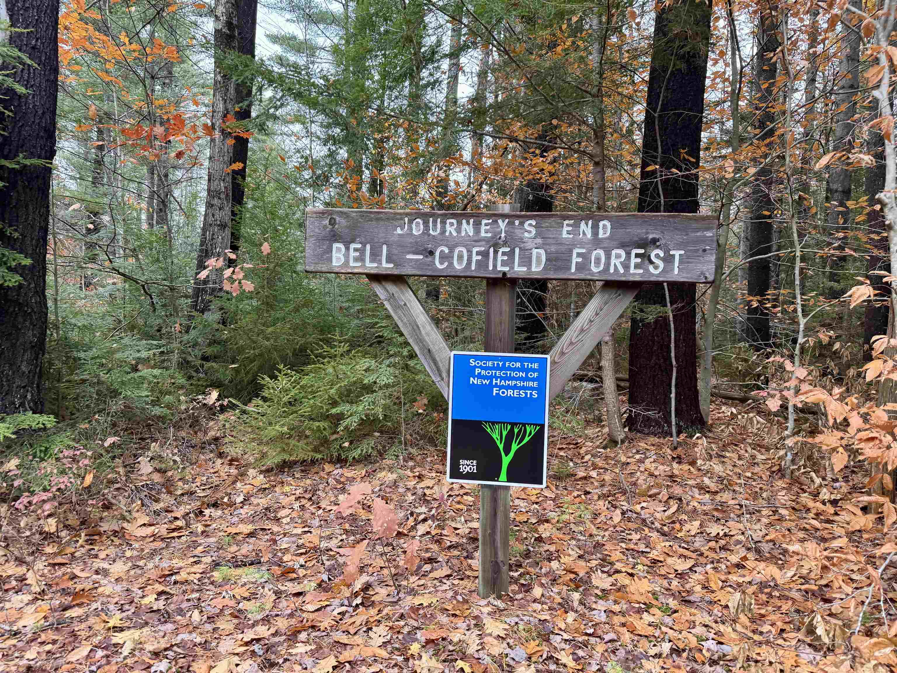 0 Washington Drive Washington, NH 03280 - Photo 6 of 12