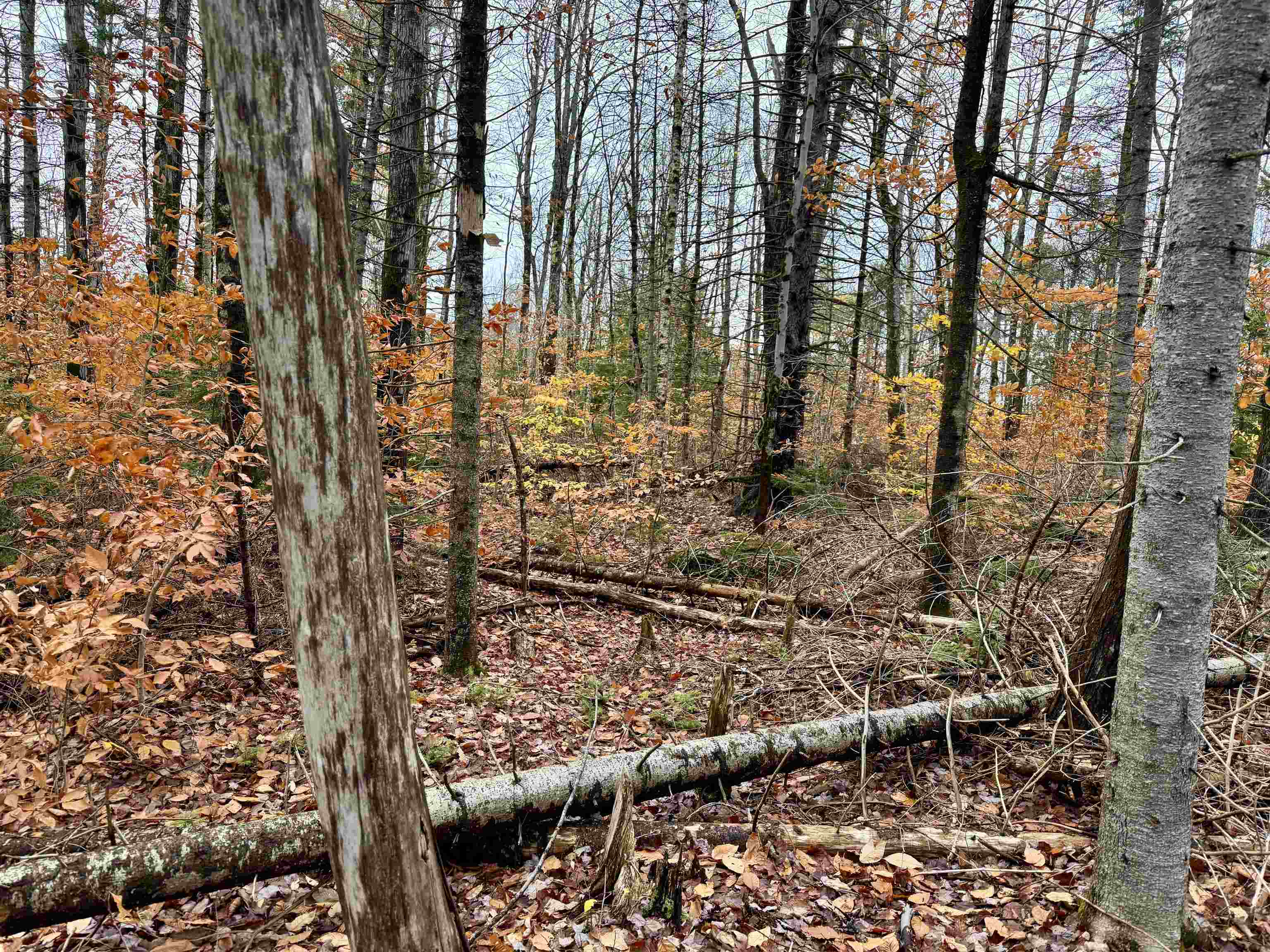 0 Washington Drive Washington, NH 03280 - Photo 7 of 12