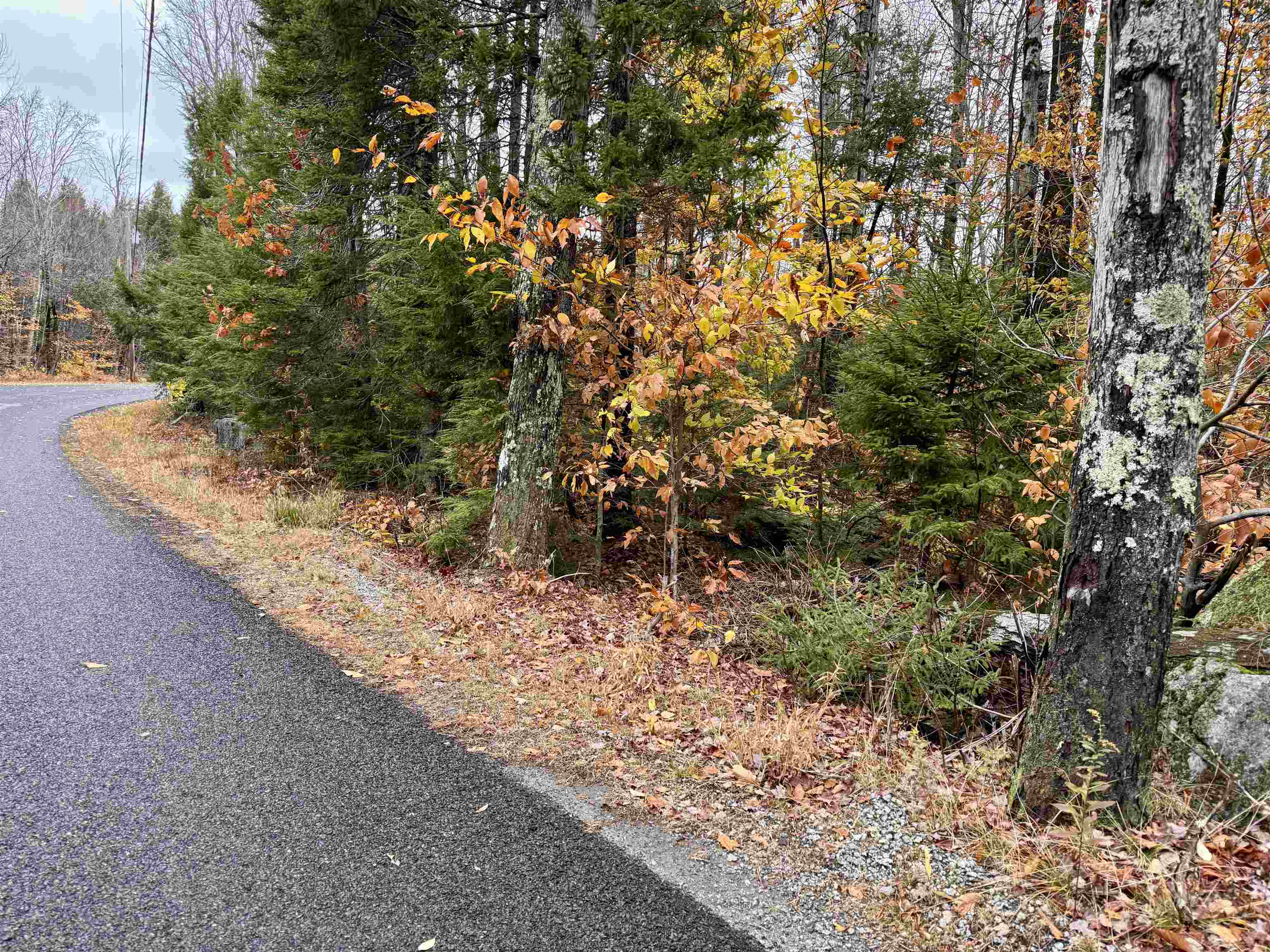 0 Washington Drive Washington, NH 03280 - Photo 9 of 12