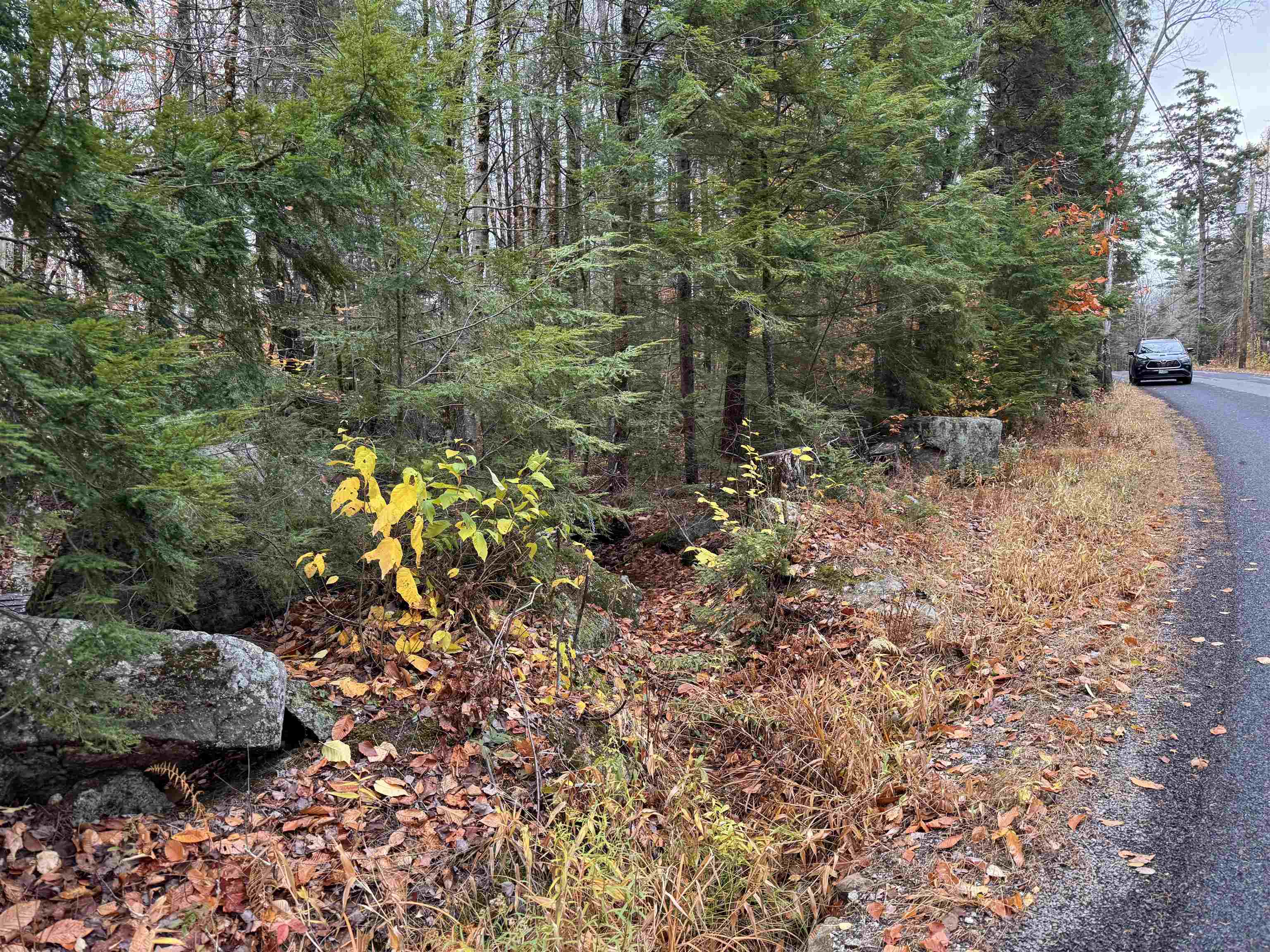 0 Washington Drive Washington, NH 03280 - Photo 10 of 12