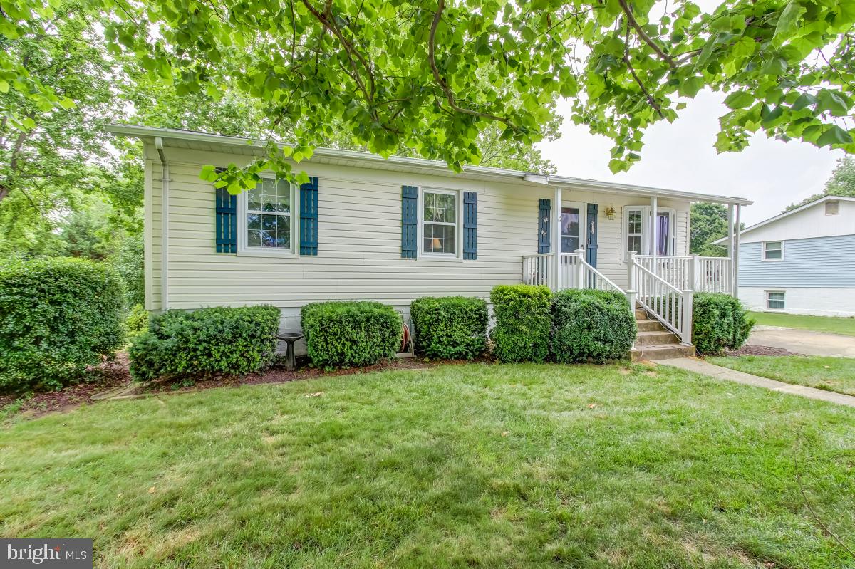7924 Frye Road Alexandria, VA 22309 - Photo 3 of 29 Nice lot, ready for outdoor play or entertaining!