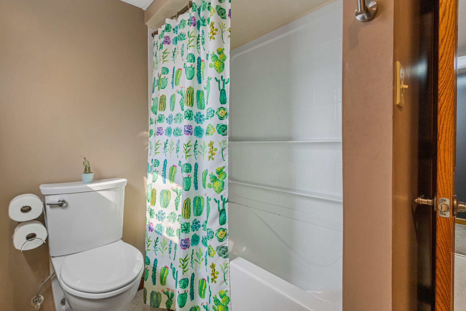 105 Lone Beech Road Monticello, IL 61856 - Photo 38 of 47 Gallery Image 38