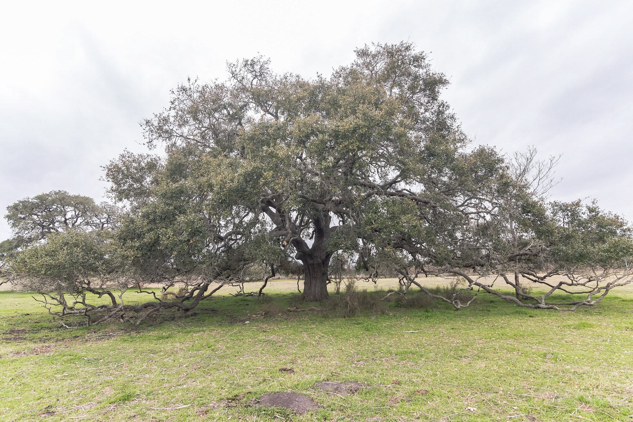 1747 East Old Hallettsville Road Flatonia, TX 78941 - Photo 2 of 8