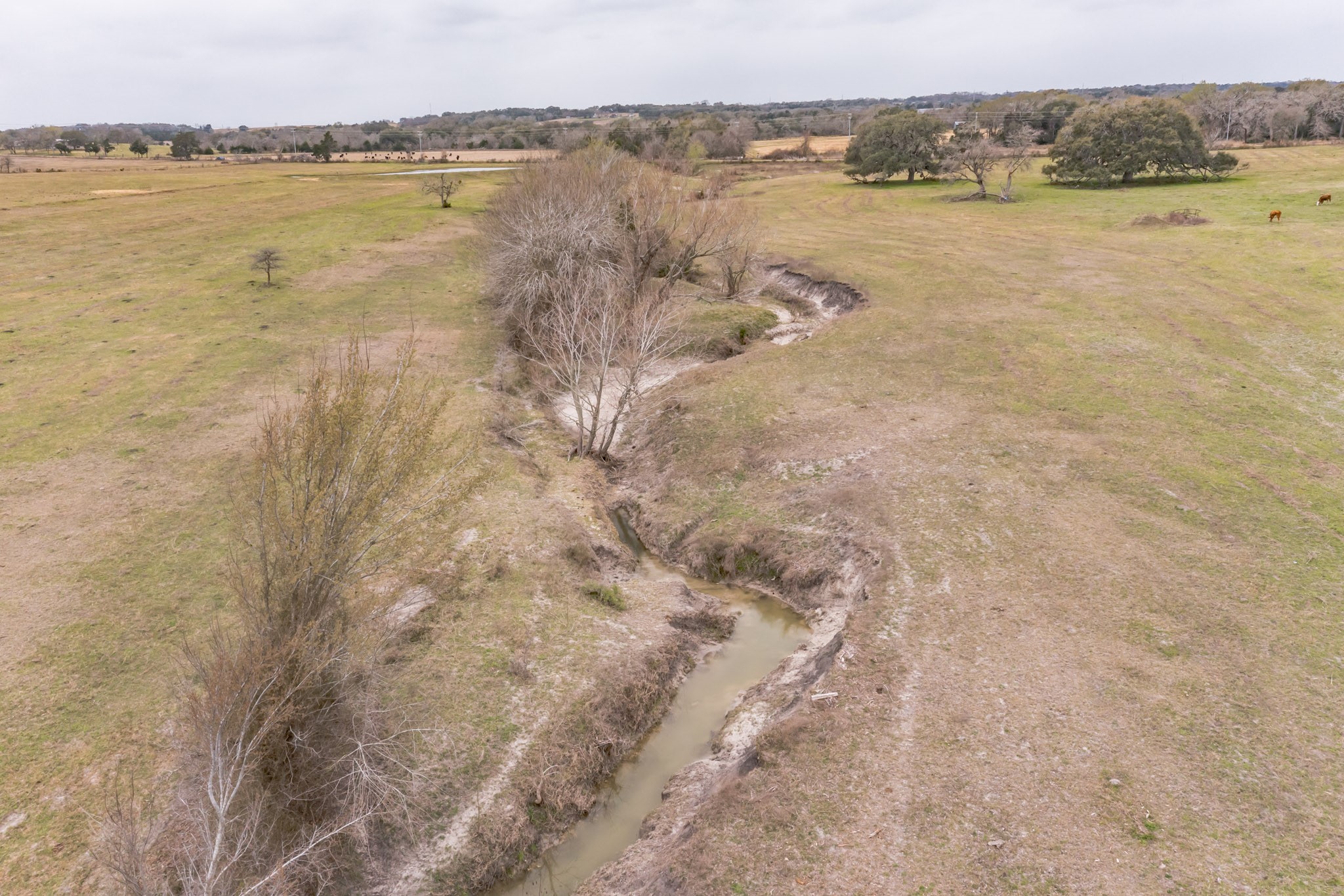 1747 East Old Hallettsville Road Flatonia, TX 78941 - Photo 5 of 8