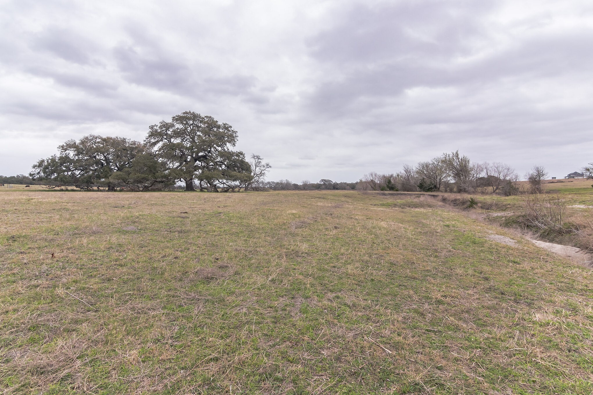 1747 East Old Hallettsville Road Flatonia, TX 78941 - Photo 7 of 8
