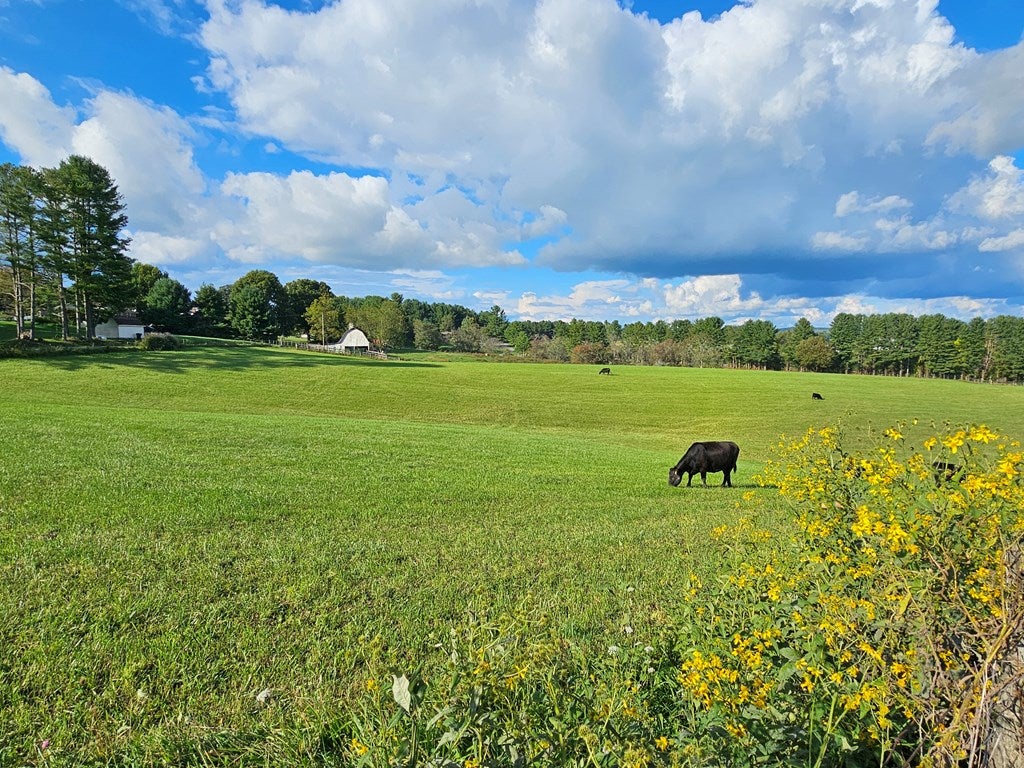 589 Fairview Road Galax, VA 24333 - Photo 40 of 68 Gallery Image 40