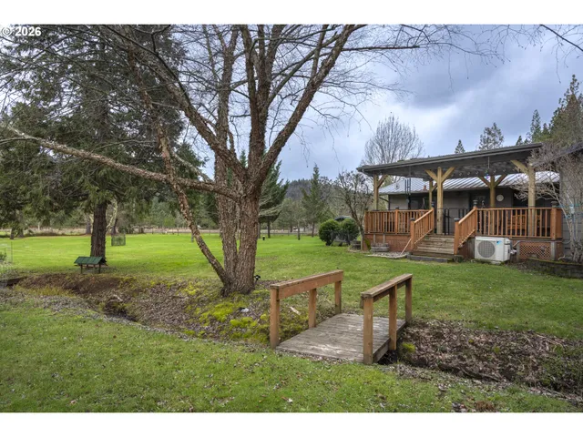 a view of a park with large trees