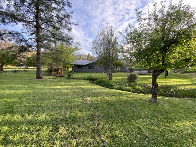 a view of a park with large trees