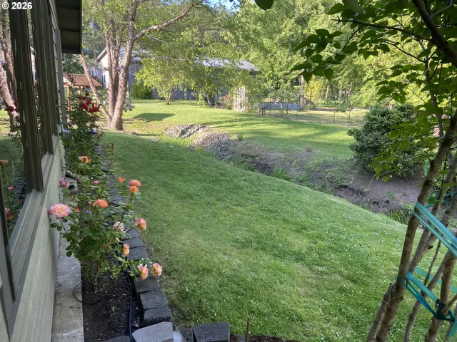 a view of a garden with trees