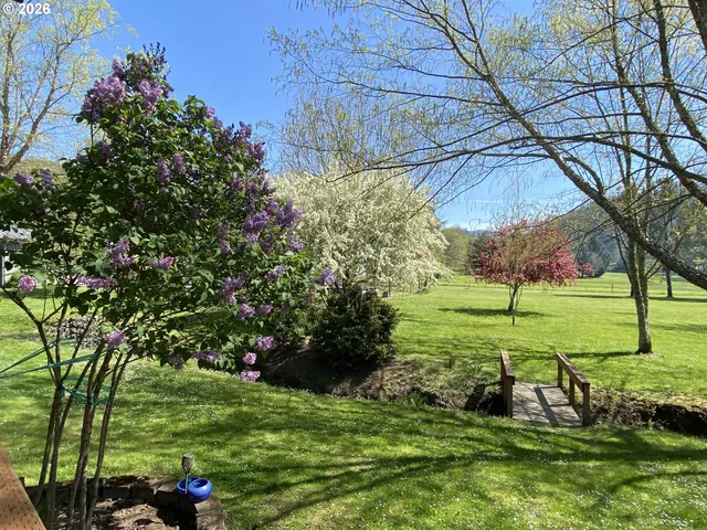 a view of a garden with a tree