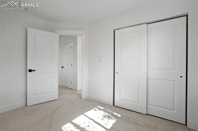 a view of backyard with large trees and wooden floor