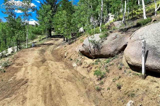 $99,000 | 1661 Gold King Drive, Cripple Creek, CO 80813