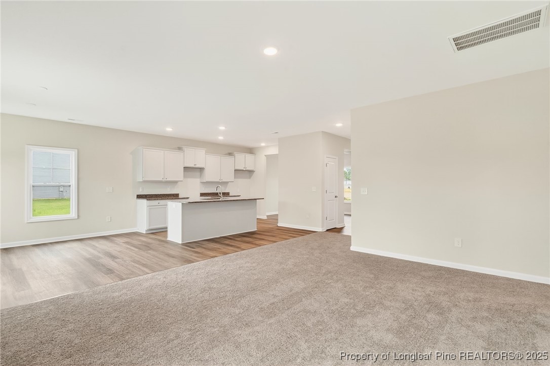 229 Palomo Place Raeford, NC 28376 - Photo 15 of 41