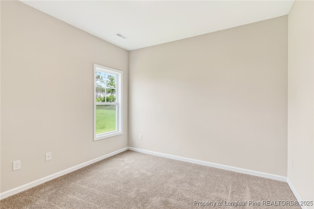 229 Palomo Place Raeford, NC 28376 - Photo 16 of 41