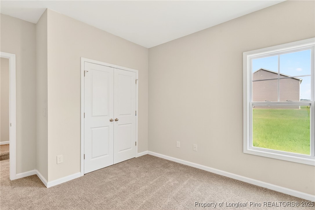 229 Palomo Place Raeford, NC 28376 - Photo 17 of 41