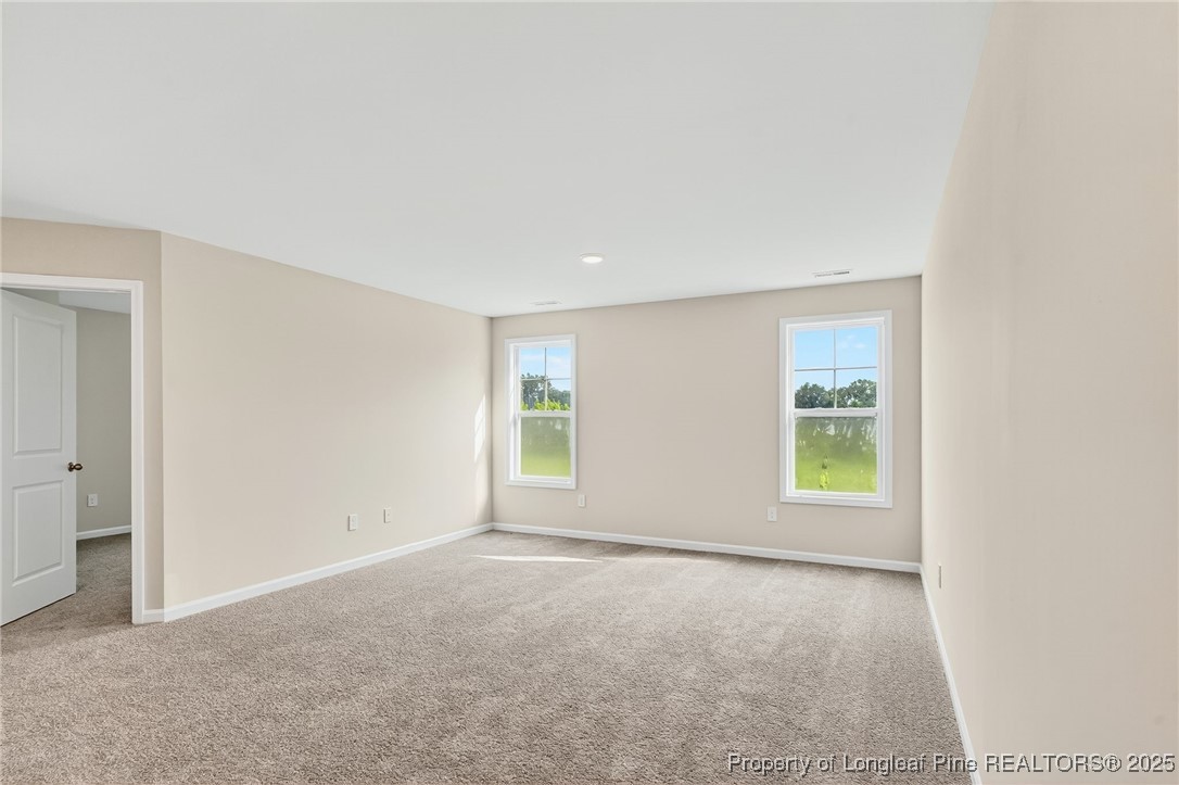 229 Palomo Place Raeford, NC 28376 - Photo 20 of 41