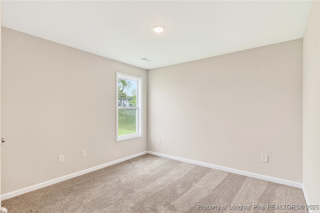 229 Palomo Place Raeford, NC 28376 - Photo 23 of 41