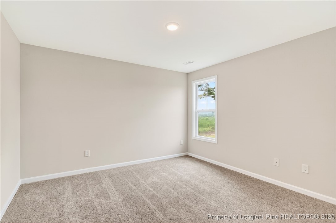 229 Palomo Place Raeford, NC 28376 - Photo 27 of 41