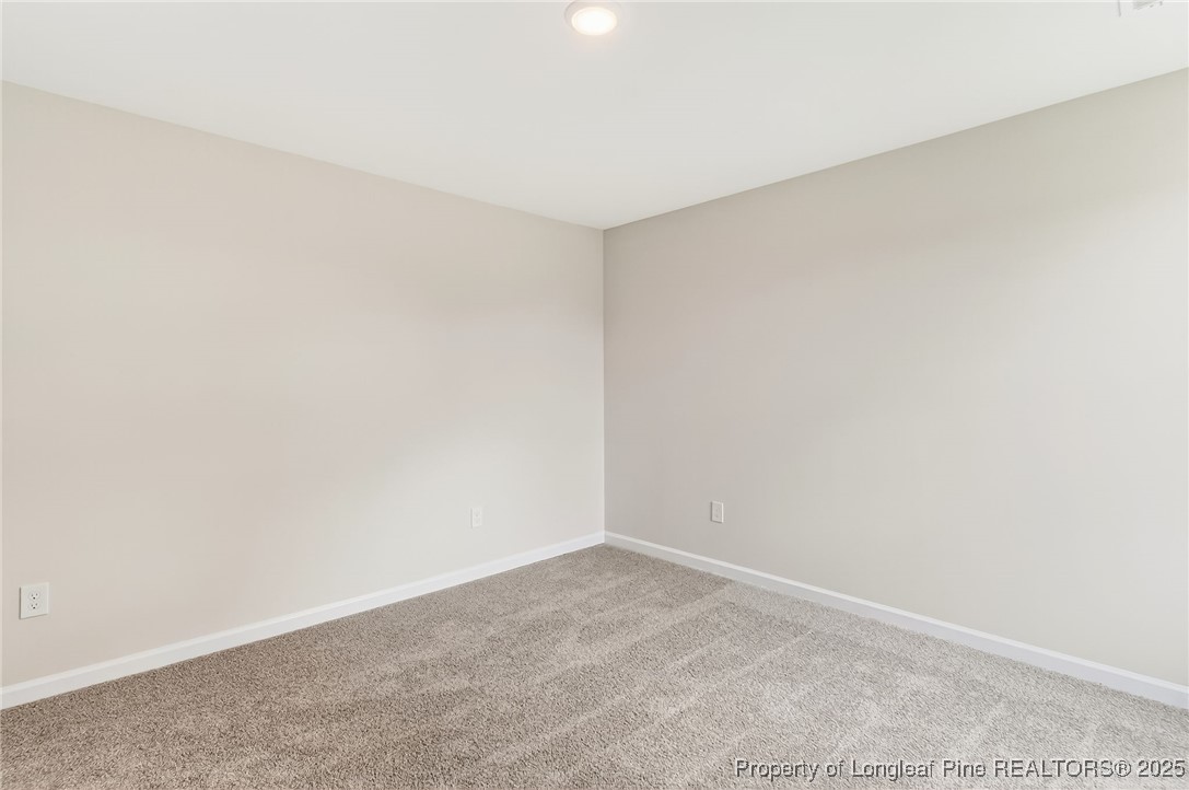 229 Palomo Place Raeford, NC 28376 - Photo 28 of 41