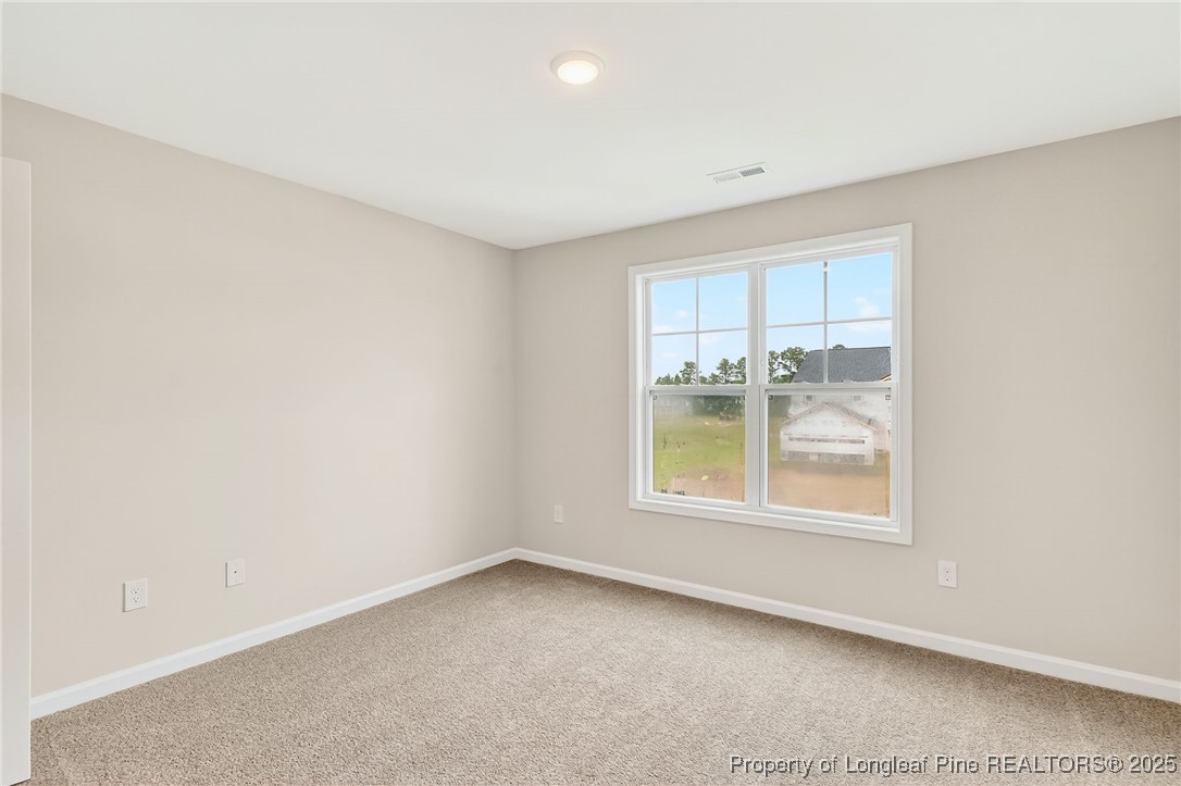 229 Palomo Place Raeford, NC 28376 - Photo 32 of 41