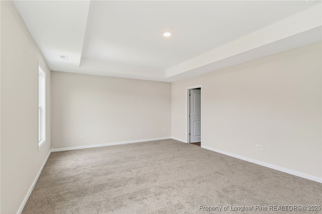 229 Palomo Place Raeford, NC 28376 - Photo 35 of 41