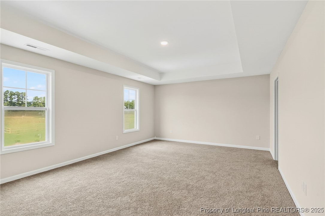 229 Palomo Place Raeford, NC 28376 - Photo 37 of 41