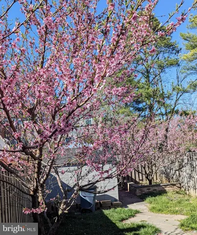 a view of house with yard