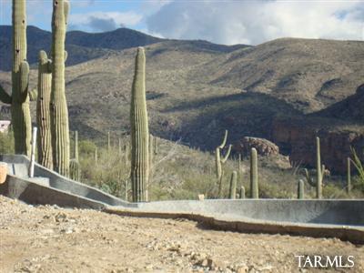 5240 North Glencoe Road Tucson, AZ 85749 - Photo 7 of 27